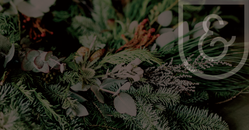 winter plants with logo transparent image